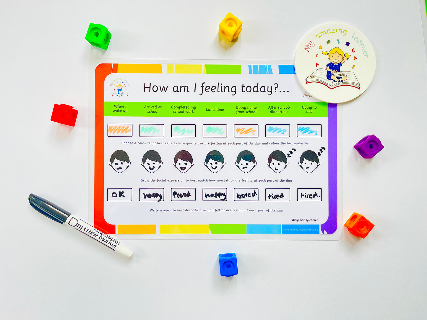 Feelings (Face) Laminated Worksheet