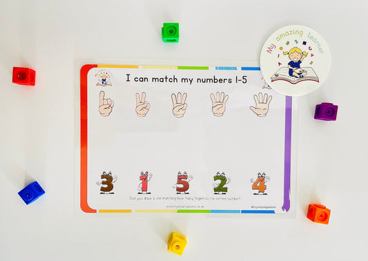 Number Matching (1-10) Double Sided Laminated Worksheet